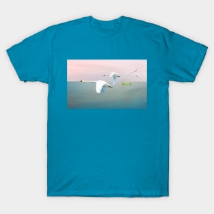 Mute Swans at Sunrise T-Shirt